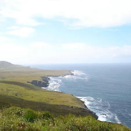 8 De Oranje Tulp Willa *